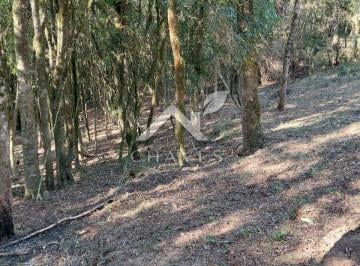 Rural · 5000m² · À VENDA EM BATEIAS – CAMPO LARGO