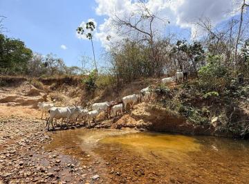 Rural de 2 quartos, Niquelândia · FAZENDA PORTEIRA FECHADA