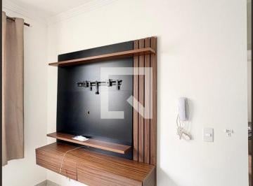 Apartamento · 33m² · 2 Quartos · Apartamento para Aluguel - Piqueri, 2 Quartos, 33 m2 - São Paulo