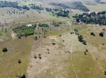 Foto 01 · OPORTUNIDADE: SÍTIO À VENDA EM ALVORADA DO OESTE, RONDÔNIA