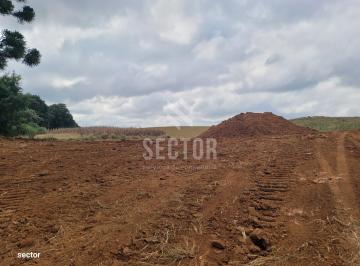 Terreno · 25000m² · Terreno para Venda • 25.000 m² • São José dos Pinhais - PR