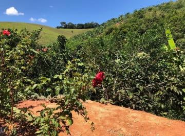 Foto 02 · Chácara à venda em Perobas, Domingos Martins- ES