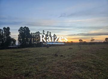 Rural · 168000m² · 3 Quartos · Propriedade rural/fazenda vocação cefeeira com casa sede e pomar com árvores frutíferas em Araguari