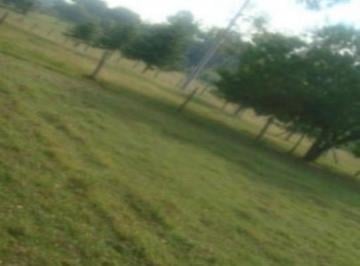 Terreno · 18000m² · Terreno - Chácara Santo Antônio (Zona Sul)