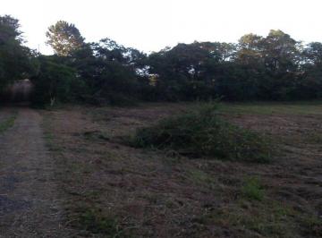Terreno · 13002m² · Terreno - Chácara Santo Antônio (Zona Sul)