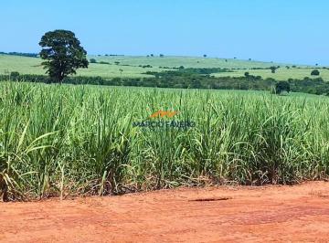 Imagem 1 · Fazenda para venda em Área Rural de Dracena, Dracena
