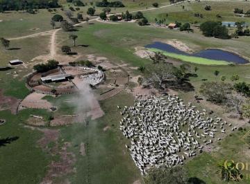 Imagem 1 · Fazenda para venda em Jardim Itália, Cuiabá