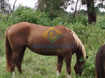 Imagem 1 · Fazenda para venda em Centro, São Gabriel do Oeste