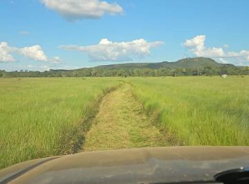Imagem 1 · Terreno para venda em Centro, Nova Ubiratã