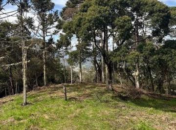 Terreno · 20000m² · 2 Hectares em São José