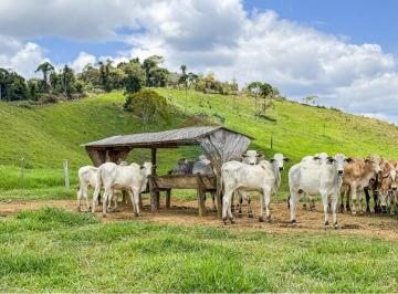 Rural · 727452m² · 2 Quartos · 15 Vagas · Fazenda 167 tarefas em Ubaíra - BA