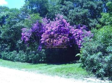 xbnpxoi1p1w1790090395805.jpg · Terreno à venda, 5450 m² por R$ 180.000,00 - Chácaras Monte Carlo - Suzano/SP