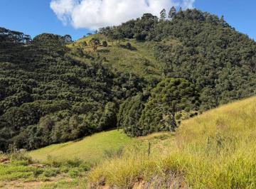 Terreno , Gonçalves · TERRENO À VENDA EM GONÇALVES-MG | ÁREA DE 22000m²