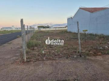 Photo 1 · Terreno disponível para venda no bairro Jardim das Palmeiras em Uberlândia-MG.
