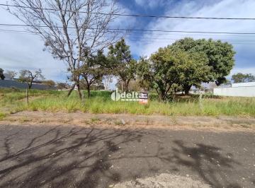 Photo 1 · Terreno de 360 m² disponível para venda no bairro Jardim Inconfidência em Uberlâ
