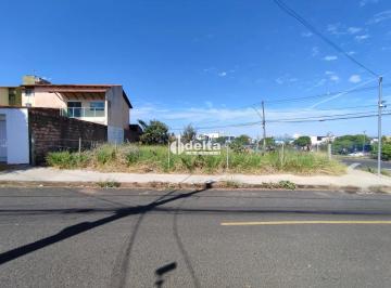 Photo 1 · Terreno de 283 m², disponível para venda no bairro Granada em Uberlândia-MG