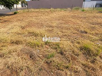 Photo 1 · Terreno disponível para venda no bairro Novo Mundo em Uberlândia-MG