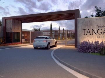 4947170a-a4bf-4b58-850f-bfb56051987c · Terreno residencial para venda em Vargem Pequena, 180m²