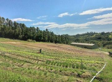 Terreno · 7978m² · AREA DE 7.978,50 M² Aparecidinha