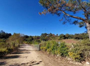 Terreno · 20000m² · ÁREA COM 20.000 m² | Aparecidinha - Sorocaba/SP