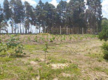Rural · 2545m² · CHACARA COM 2.545,00M² - ARAÇOIABA DA SERRA