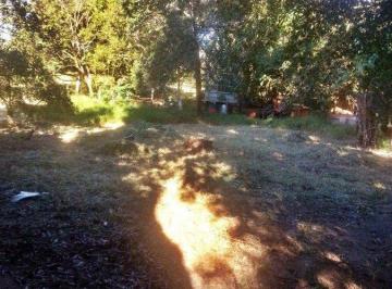Rural · 32000m² · 1 Quarto · SÍTIO,1 Dormitorio(s) bairro Aparecidinha