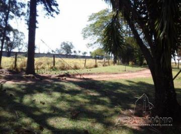 Terreno · 365500m² · ÁREA,0 Dormitorio(s) bairro Araçoiabinha