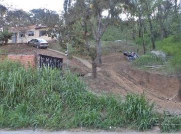 Terreno · 6370m² · ÁREA,0 Dormitorio(s) bairro Vergueiro