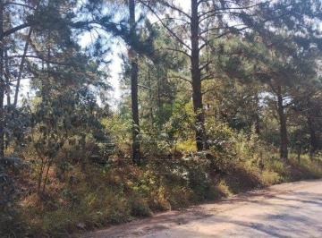 Terreno · 1000m² · TERRENO EM ARAÇOIABA DA SERRA