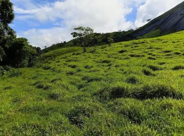 Terreno · 230000m² · Terreno à venda no Centro de Marliéria com 230.000m²