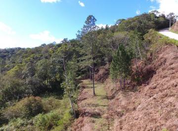 Terreno · 1226m² · San Genaro