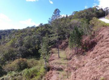Terreno · 559m² · San Genaro