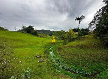 Terreno · 10800m² · Terreno em Indaial