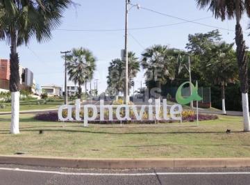 20251125102606986.jpg · Lote para Venda em Teresina, Novo Uruguai
