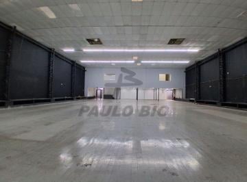 WhatsApp Image 2026-10-15 at 16.53 · Comercial para aluguel - em Campestre