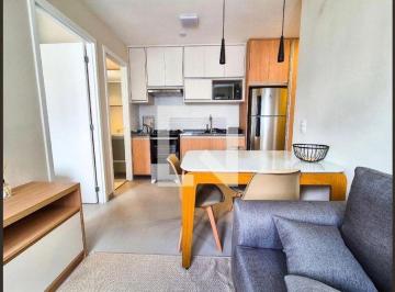 Apartamento · 47m² · 2 Quartos · Apartamento para Aluguel - Santa Cecília, 2 Quartos, 47 m2 - São Paulo