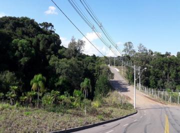 Foto 22 · Terreno 12,8X29M a venda no loteamento Terra Nobre - Caxias do Sul