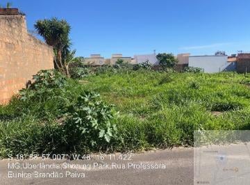 Photo_0 · 
                Grande oportunidade — Terreno no Shopping Park, Uberlandia - MG, Nº S, 290m² | Leil