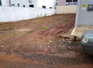 Imagem 1 · Terreno para venda em Centro, Tangará da Serra
