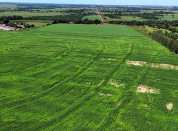 Imagem 1 · Terreno para venda em Tangará da Serra