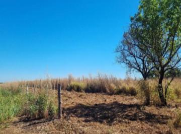Foto do bem 850 · Lote de 7 m² em Porto Nacional