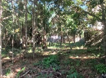 Terreno , Porto Seguro · Excelente para investimento, perto da praia da Pitinga