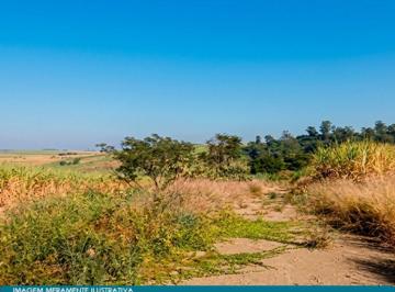 Imóvel Rural 47 ha (Sítio Trinta e Cinco) -  Rio das Pedras - SP - Foto [0] · Imóvel Rural 47 ha (Sítio Trinta e Cinco) -  Rio das Pedras - SP