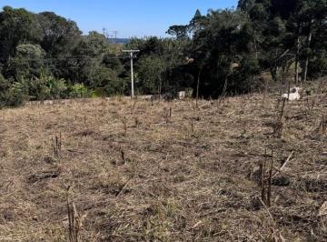 202608071443329174.jpg · Terreno para Venda em Toledo