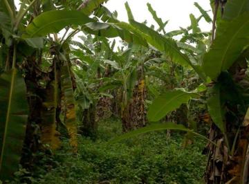 Rural de 2 quartos, Rio de Janeiro · Vendo Excelente Sitio em Campo Grande - RJ