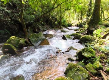 amat014-1 · Área de 3,6 hectares à venda em Águas Mornas/SC, com escritura pública e Lindas Cachoeiras