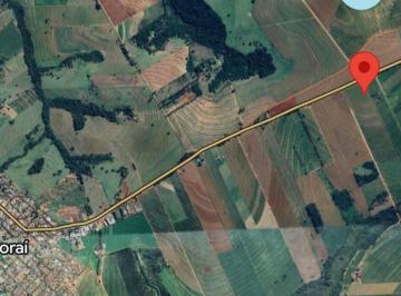 Photo_0 ·
Área Comercial de 30.000 m² com 200 m de Testada na Rodovia Urbano Pedroni – Floraí