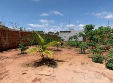 Imagem 1 · Chácara para venda em Estância Santa Clara (Zona Rural), São