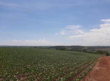 Imagem 1 · Sítio para venda em Sarandi