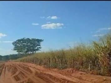 Imagem 1 · Fazenda para venda em Votuporanga